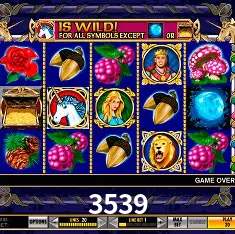3539 Slots